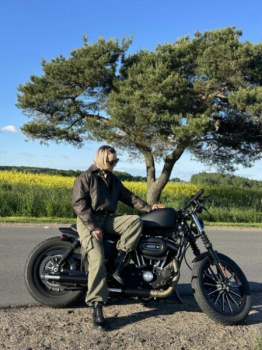 Harley-Davidson Sportster, 2012 г.