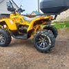 Motoland Wild Track X PRO 163QMK, 2026 г.