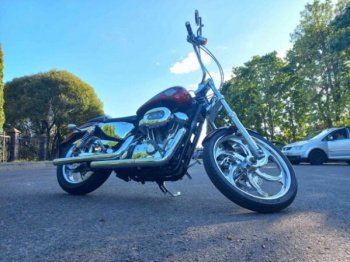 Harley-Davidson Sportster, 2006 г.