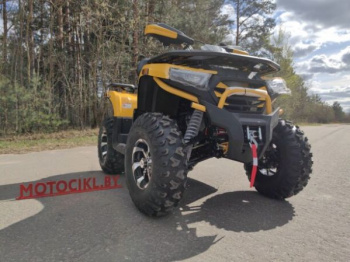 Motoland Wild Track X Plus (VOX250), 2025 г.
