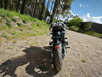 Regulmoto Alien Monster 300, 2025 г.
