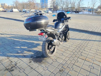 Suzuki SV 650, 2019 г.