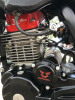 Motoland CRF, 2023 г.