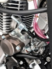 Regulmoto Holeshot PRO 350, 2026 г.