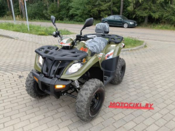 Kayo AU300 Carb, 2026 г.