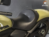 Kawasaki EN 650D, 2023 г.