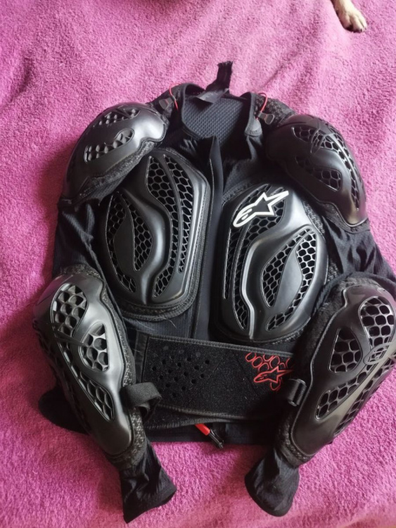 Моточерепаха Alpinestars Bionic Action Jacket ALPINESTARS