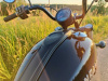 Indian Chief, 2021 г.
