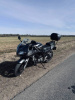 Suzuki SV, 2009 г.