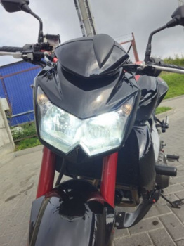 Kawasaki Z, 2007 г.