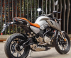 Regulmoto Alien Monster 300, 2025 г.
