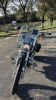 Harley-Davidson Sportster XL1200,C, 2010 г.