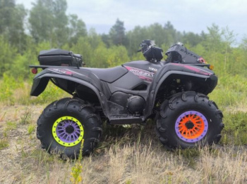 Yamaha Grizzly EPS SE, 2019 г.