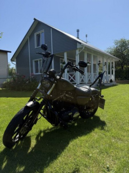 Harley-Davidson Sportster 883N, 2021 г.