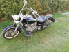 Yamaha XV, 2002 г.