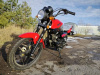 Racer RC 150-23 Tiger, 2024 г.