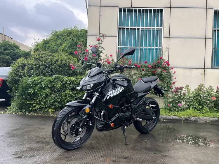 Спорт AVM NEXUS 125, 2026 г.