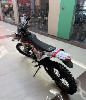 Progasi SUPER MAX 300, 2026 г.