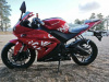 Motoland R1 300, 2026 г.