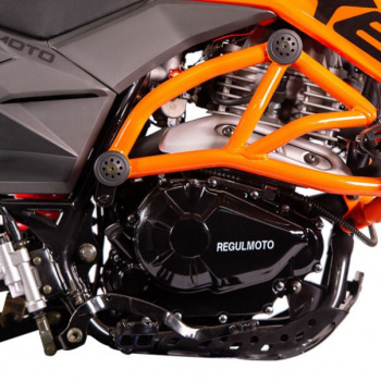 Regulmoto Duke 300, 2026 г.