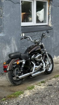 Harley-Davidson Sportster XL1200C anniversary, 2013 г.