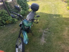 Racer Panther Panter 300, 2019 г.
