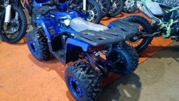 Motax ATV Grizlik D125, 2025 г.