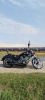 Victory Vegas 8 Ball, 2013 г.