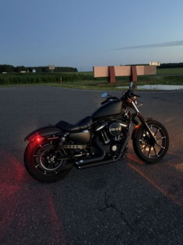 Harley-Davidson Sportster XL883 iron, 2019 г.