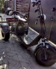 BNP Monster citicoco, 2023 г.
