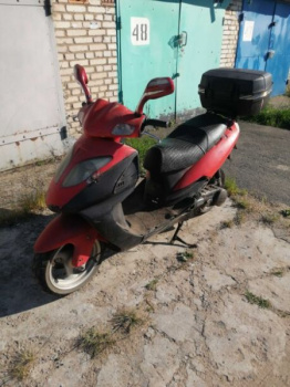 Viper Storm, 2010 г.