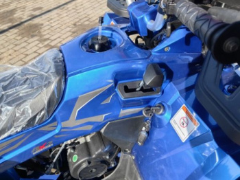 Motoland Wild Track 200 X WINCH, 2025 г.