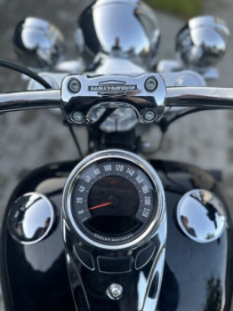 Harley-Davidson Softail Deluxe Heritage, 2018 г.