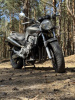 Honda CB 900F (Hornet), 2003 г.