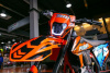 Progasi RACE 300, 2024 г.