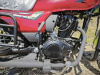 Motoland Forester LITE 200, 2026 г.