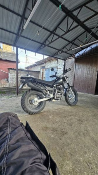 Эксклюзив Редкая модель SCOUTW250 Pr300, 2025 г.