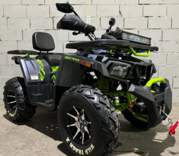 Motoland Wild Track 200 X PRO, 2025 г.