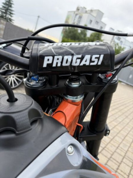 Progasi PALMA 300 PRO, 2025 г.