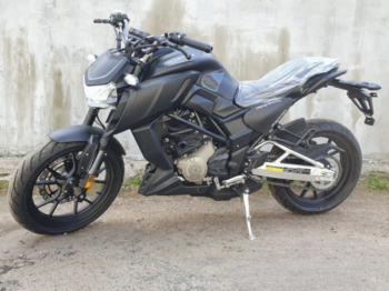 Regulmoto Alien Monster 300, 2025 г.