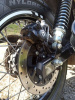 Royal Enfield Bear 650, 2025 г.