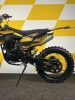 TMBK ENVY 300 PRO, 2025 г.