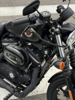 Harley-Davidson Sportster, 2019 г.