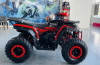 Racer RC 200 FREELANDER, 2024 г.