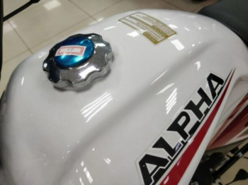 Motoland Alpha Forester RS 11, 2026 г.