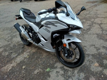 Kawasaki Ninja EX500, 2025 г.