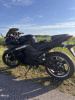 Kawasaki Ninja, 2024 г.