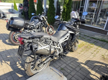 Triumph Tiger, 2010 г.