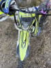 Progasi Gaudi, 2024 г.