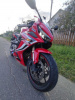 Honda CBR, 2020 г.
